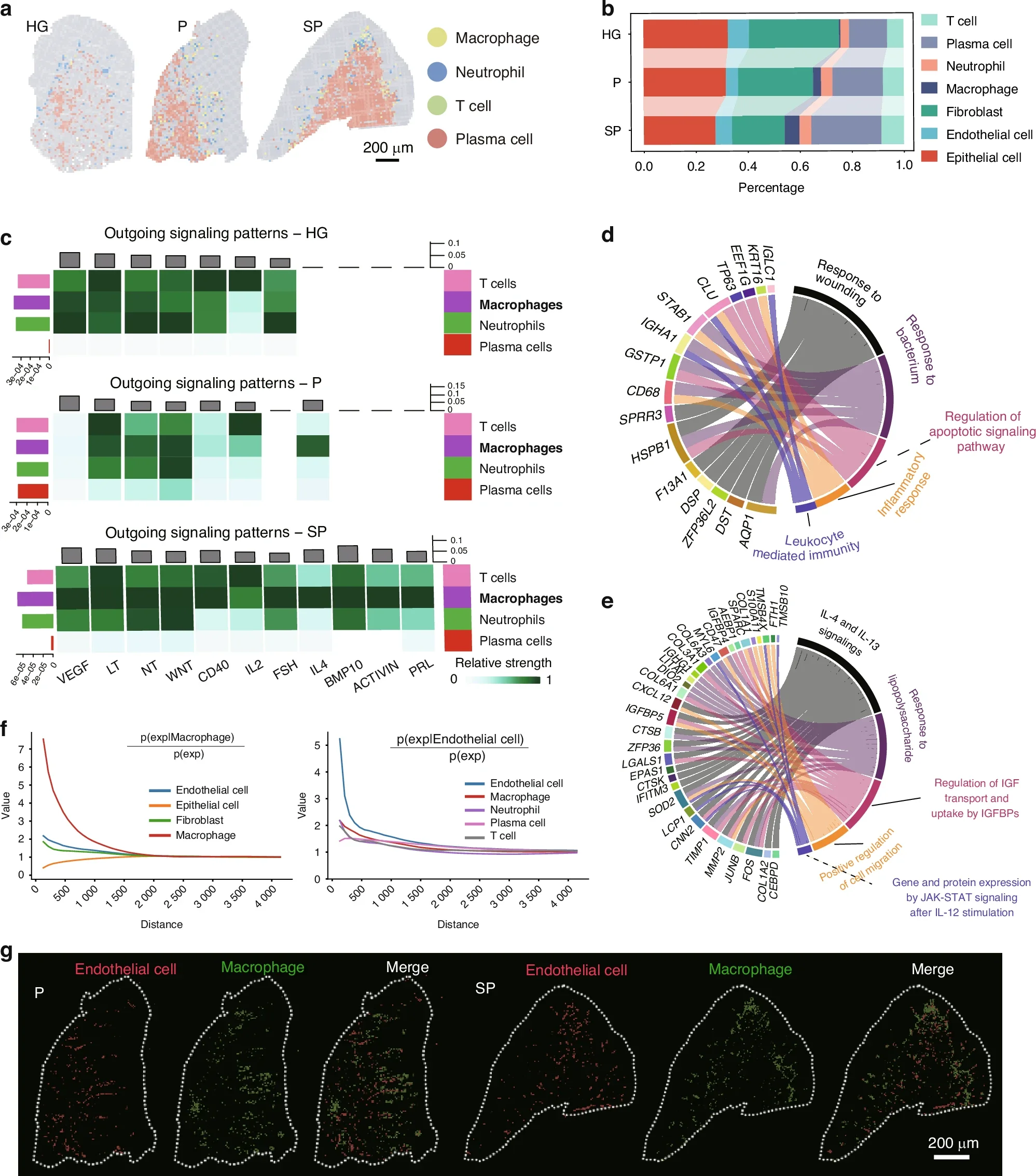 Smoking induces an immune microenvironment disruption by promoting macrophage dysfunction. a Map showing the infiltration of the four immune cell subgroups into the gingiva.
