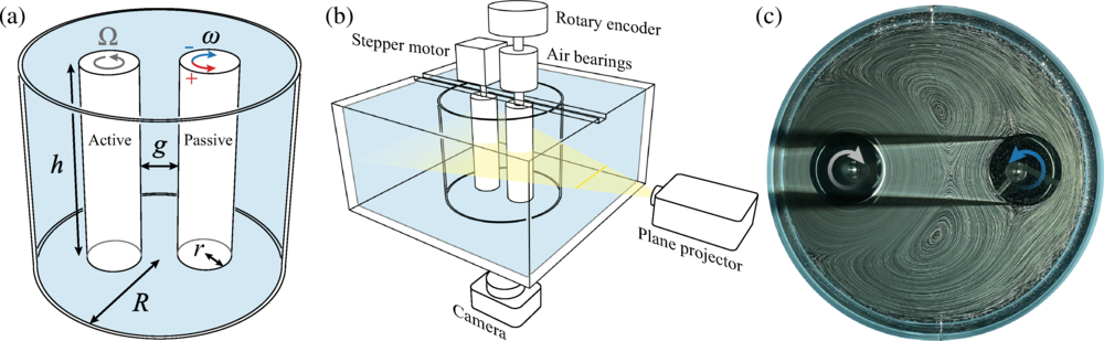 Two-rotor problem. (a) An active cylinder driven to spin and which may induce spin of a passive cylinder due to hydrodynamic coupling. (b) Experimental apparatus (not to scale) showing actuation and suspension systems and means for measuring rotation and flow. (c) Example photograph of the counterrotation state
