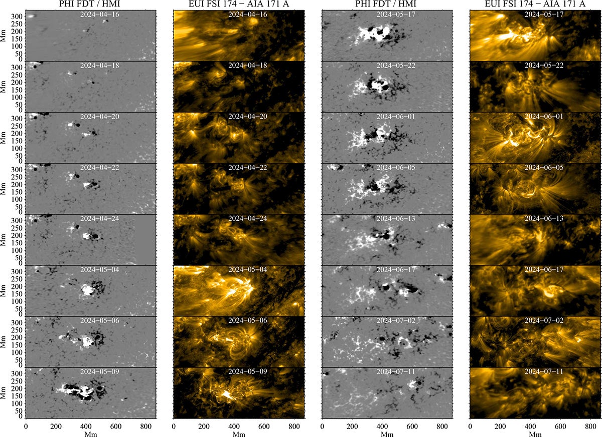 Snapshots of the evolution of NOAA 13664/13697/13723 from 16 April 2024. Columns 1 and 3 show the HG-projected maps of BLOS, while columns 2 and 4 show the corresponding maps of EUV emission at the 171−174 Å range. The magnetic field values have been scaled between ±300 G. An animated version of the magnetic field evolution is available online.