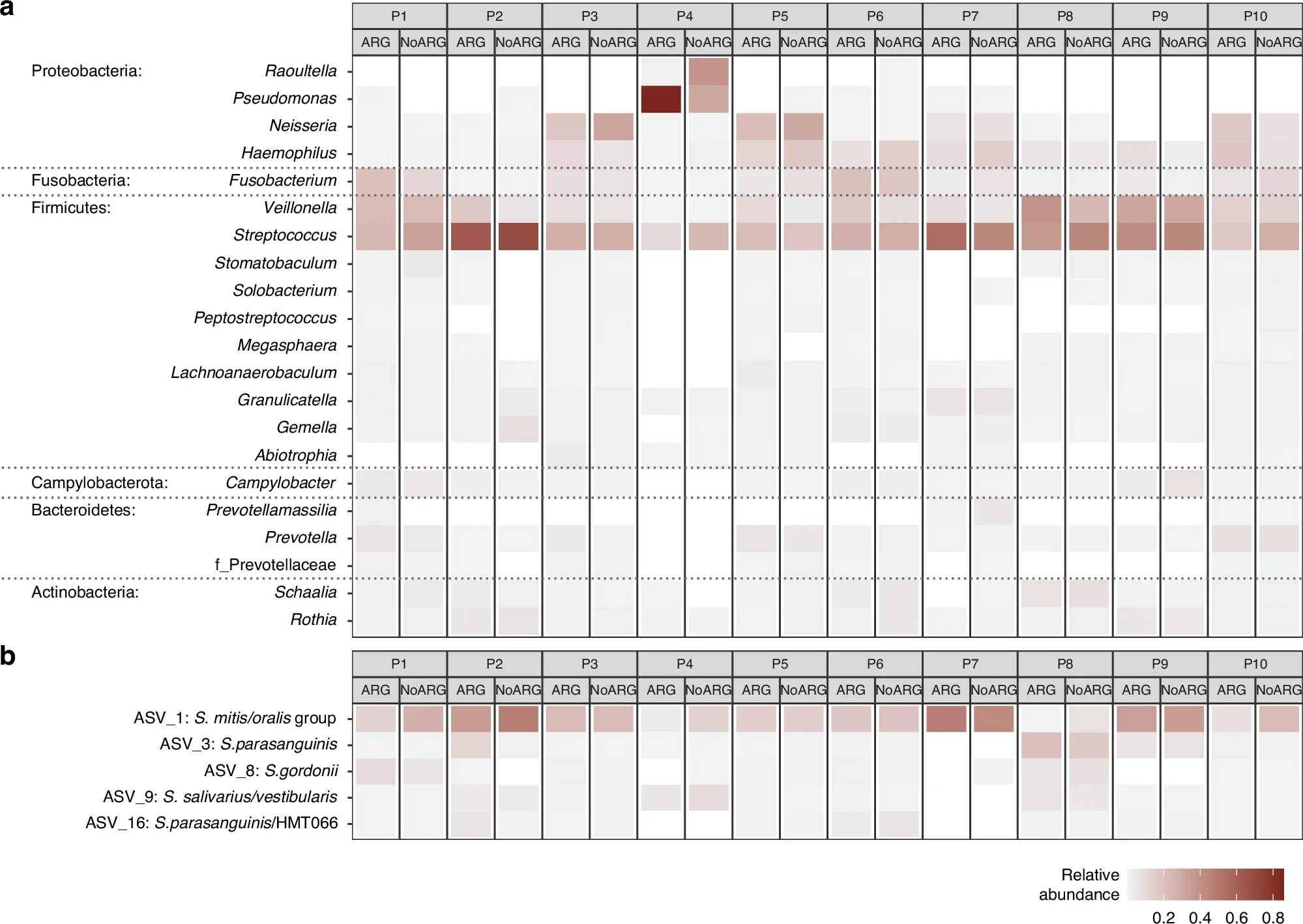 Microbial community composition of biofilms treated with arginine (ARG) or placebo (NoARG).