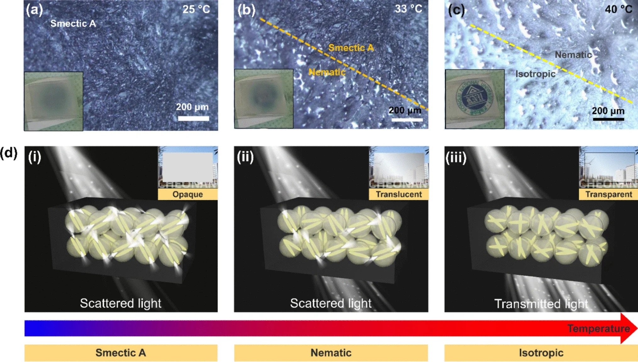 Optical microscopy images of the PDLC/TWs at different temperatures. Each set of images represents the same sample area.
