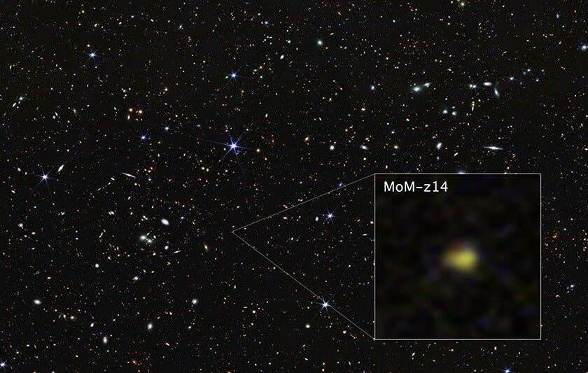 NASA’s James Webb Space Telescope shows galaxy MoM-z14 as it appeared in the distant past, only 280 million years after the universe began in the big bang.