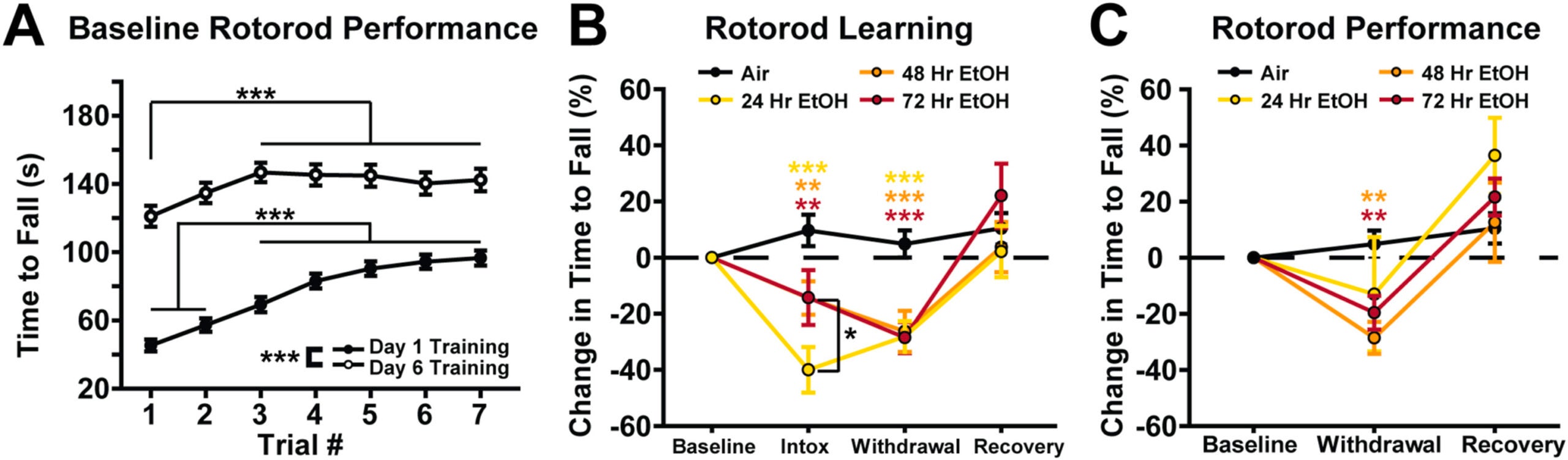 The development of withdrawal-induced motor impairment coincides with cerebellar adaptations at 48- and 72-h of EtOH exposure.