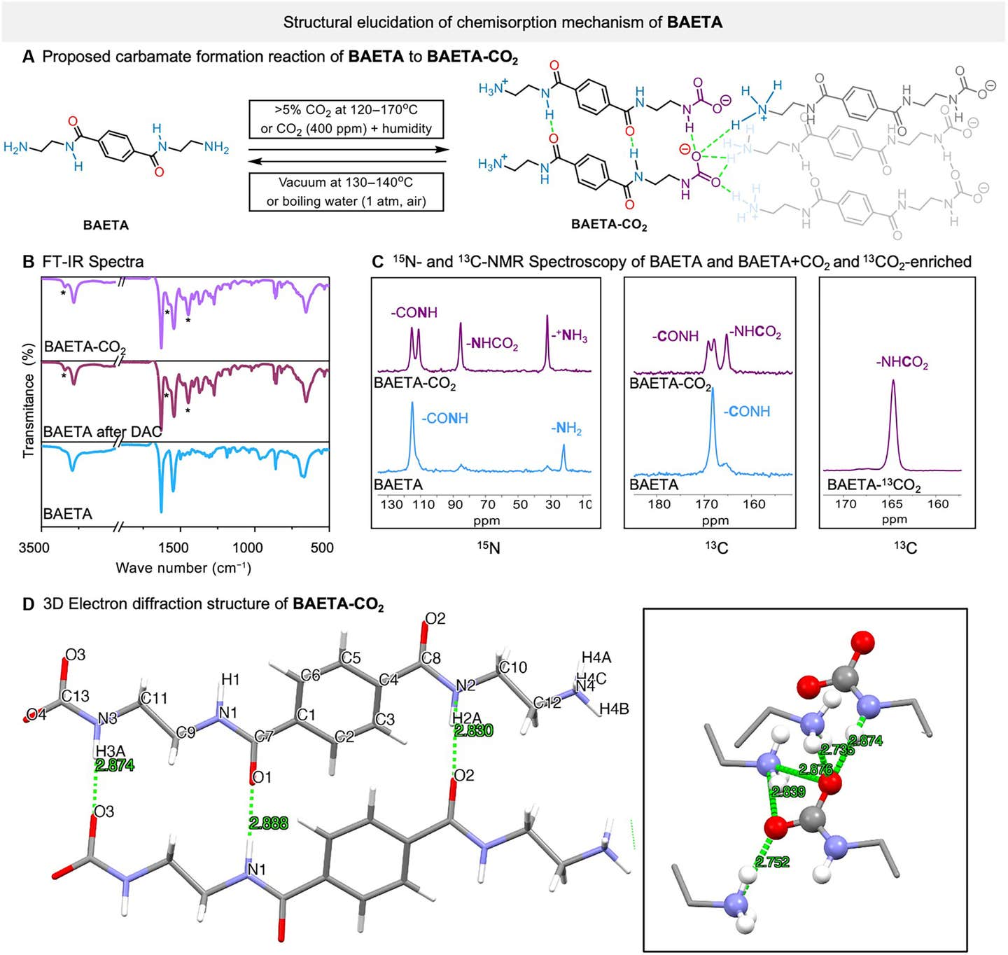 Structural changes of BAETA during CO2 absorption.