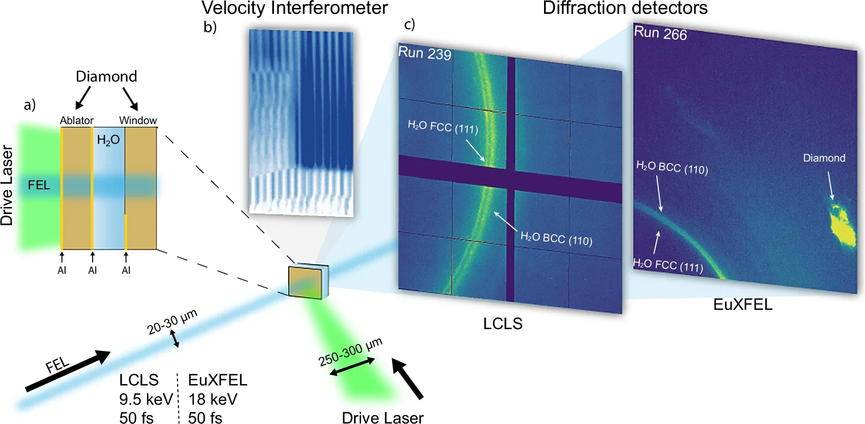 Simultaneous shock compression, X-ray diffraction and velocimetry measurements at LCLS and EuXFEL. Water is compressed multiple times by laser-generated shock waves reverberating between diamond windows 