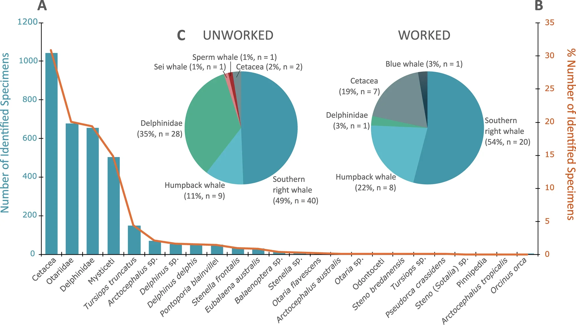 Marine mammal remains from sambaqui sites in southern Brazil.