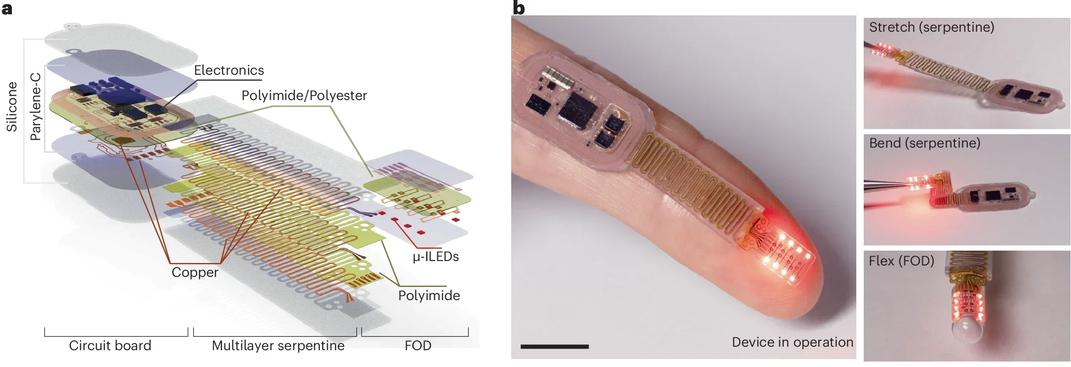 Engineering platform for dynamic wireless transcranial perception modulation.