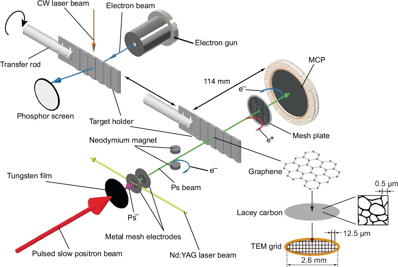 Schematic diagram of the experimental setup (not to scale).