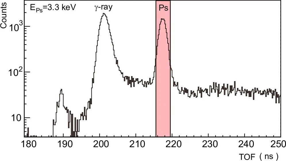 TOF spectrum of the Ps beam at 3.3 keV.