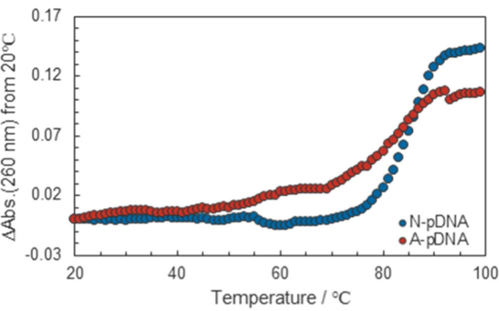 Characteristics of annealed pDNA (A-pDNA). Tm measurement of both naked pDNA (N-pDNA) and annealed pDNA (A-pDNA).