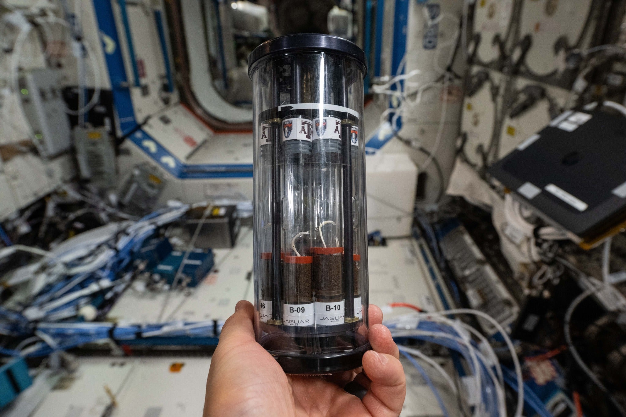 A canister with vials in it with small white plants growing and the space station interior in the background