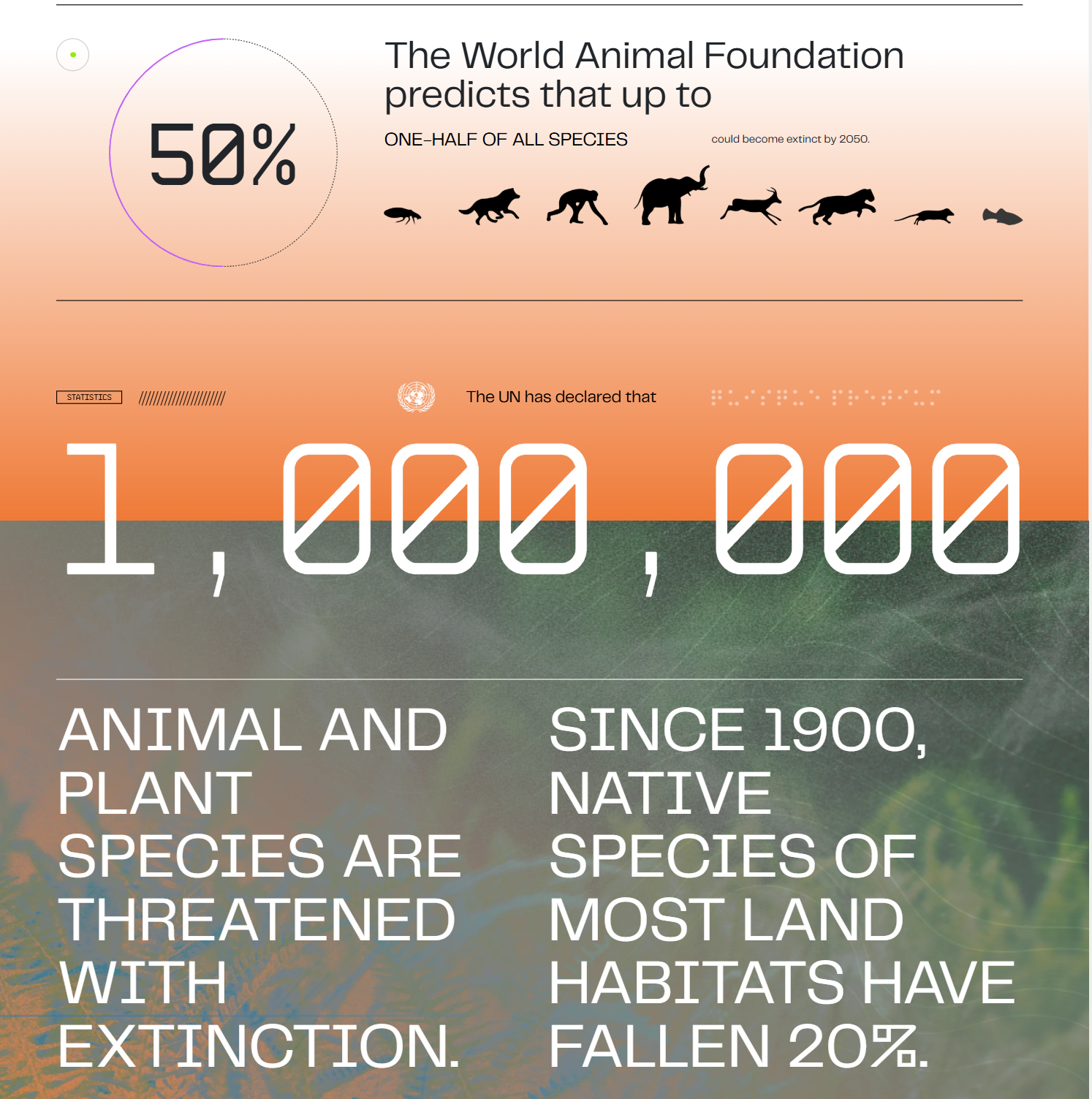 The goal of the network is not only to store genetic materials but also to provide scientists with the means to produce offspring for endangered species.