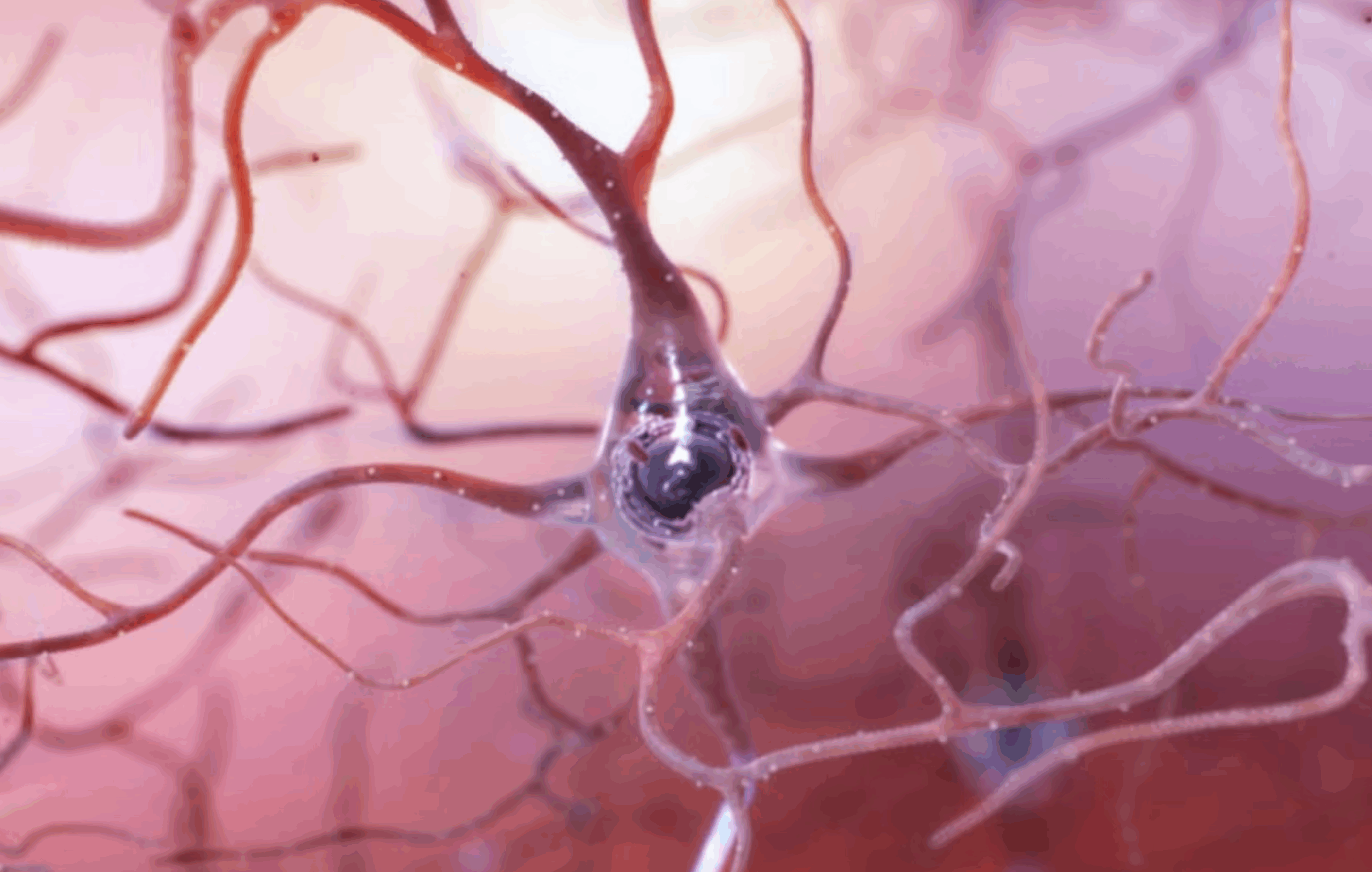 Illustration of a neuron. 