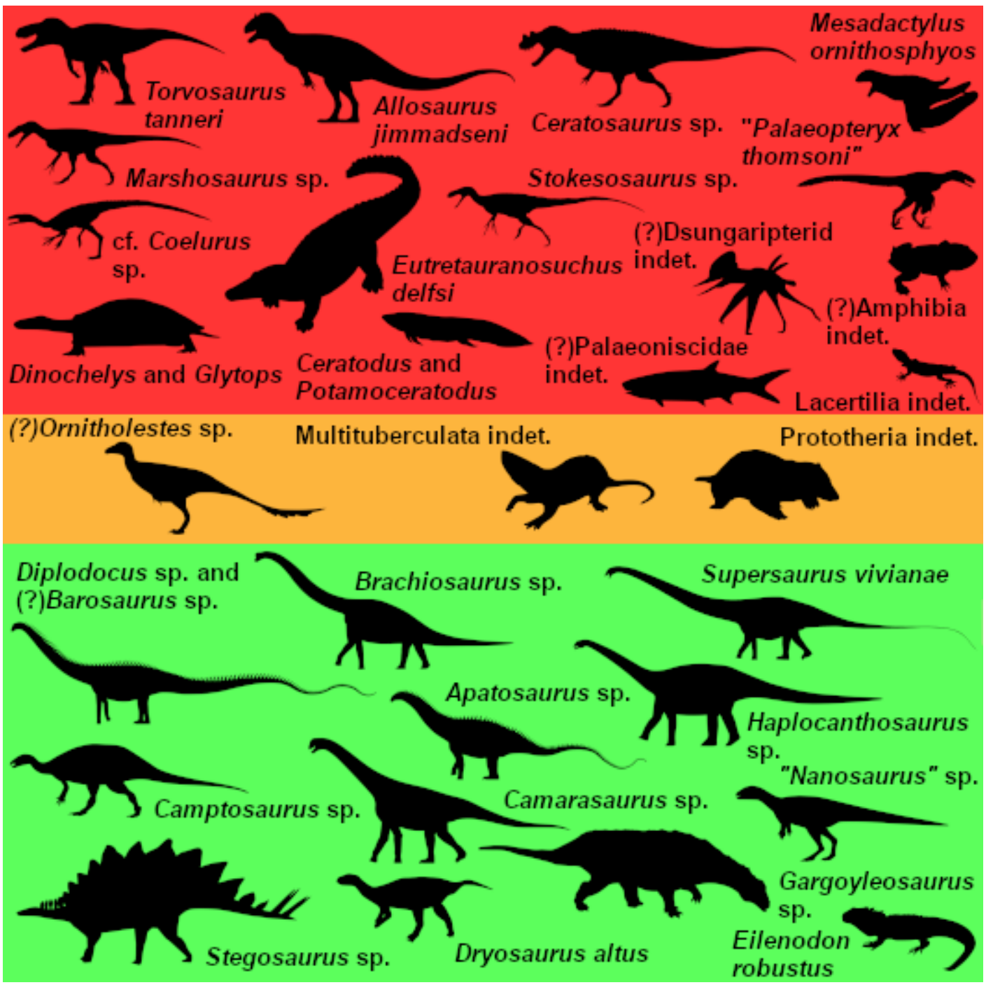 Silhouettes of DMDQ fauna arranged in generalized dietary categories. Silhouettes are not to scale. The different background colors relate to the diet of each animal, with green for herbivores, brown for omnivores, and red for carnivores.