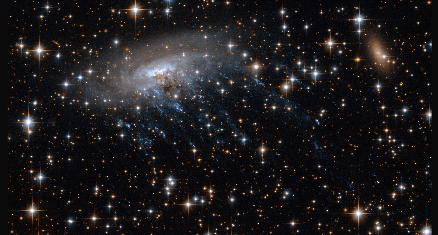 ESO 137-001, a jellyfish galaxy like the one recently observed by astrophysicists at the University of Waterloo.