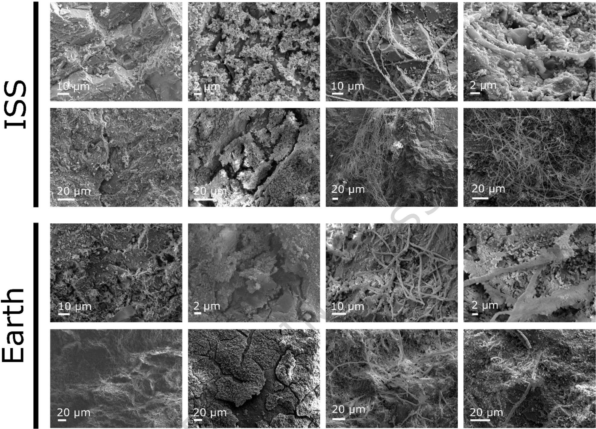 Scanning electron microscopy (SEM) images of the L-chondrite fragments. Secondary electron SEM images are shown here and are representative of samples in the two gravity conditions.
