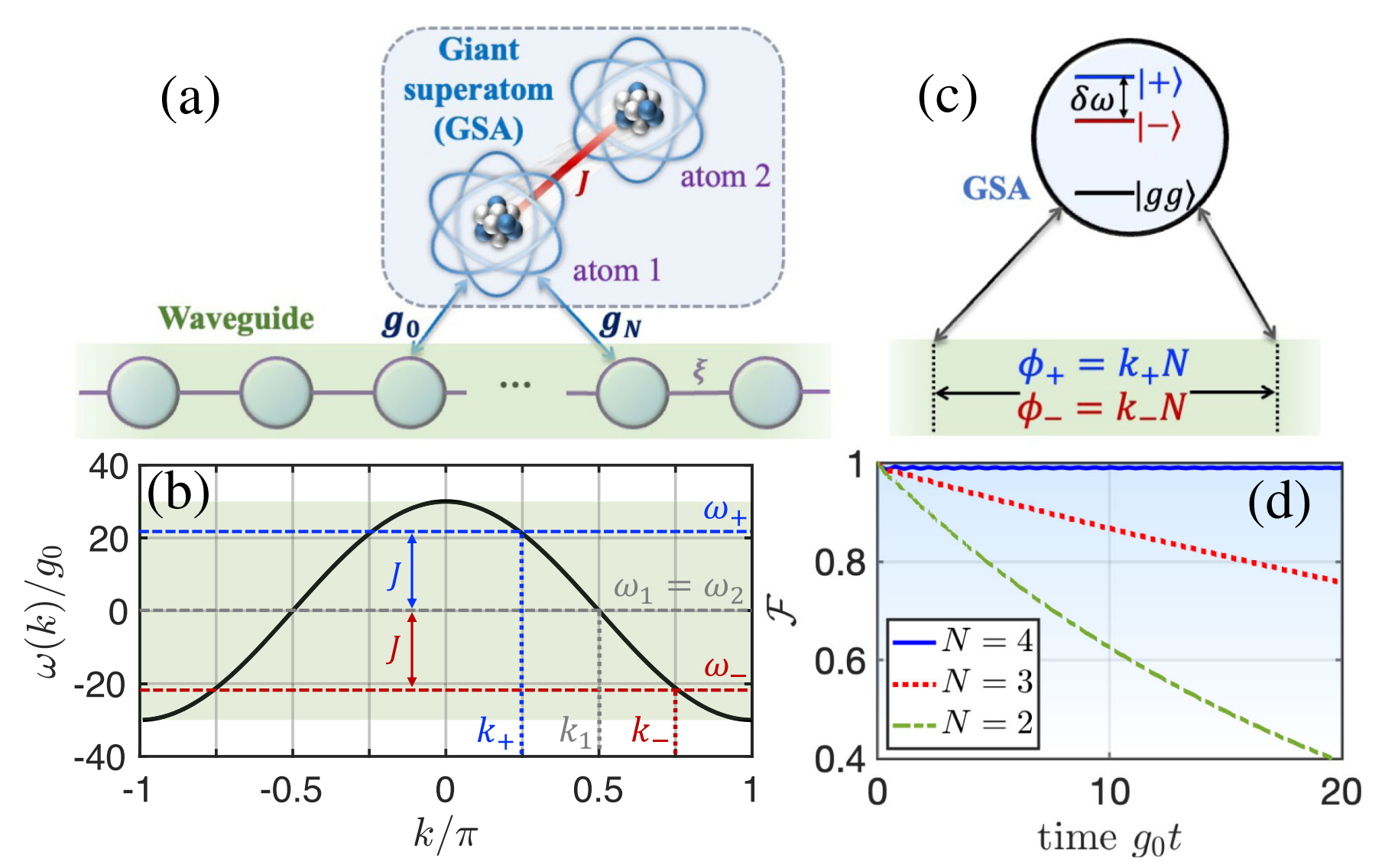 Schematic of a bipartite GSA, formed by a giant atom (atom 1) directly coupled to an additional atom (atom 2) via an interaction J.