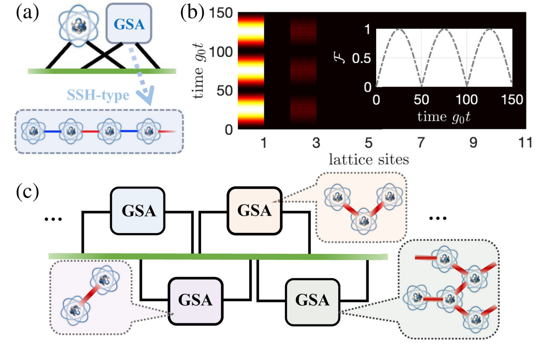 Schematic of an extended braided structure, where a giant atom is braided with an SSH-type GSA.