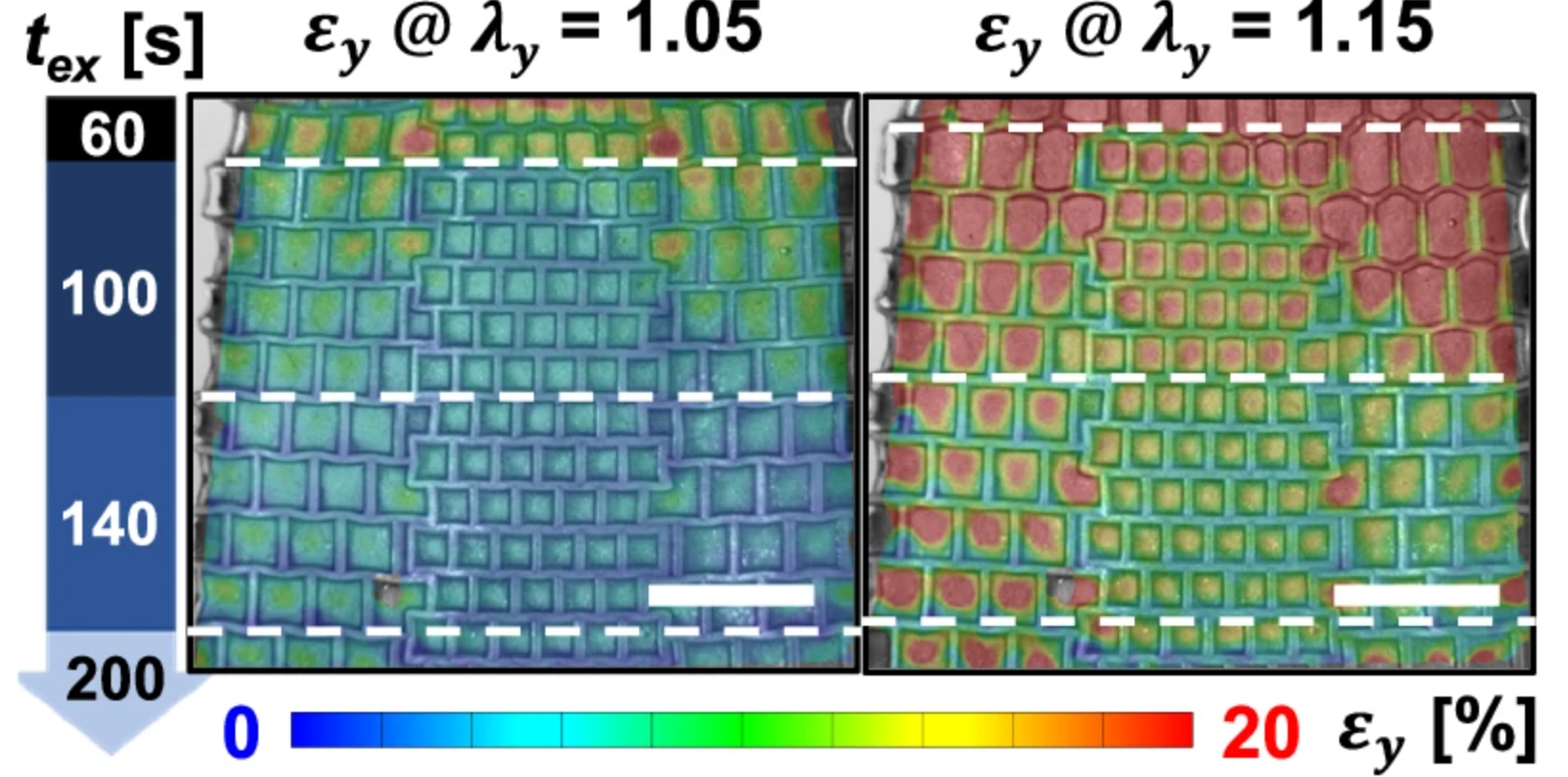 Strain mapping of a hydrogel film with simultaneously encoded gradients (achieved by varying local curing times from 60 to 200 s in the cellular pattern domains, with a consistent 20-s curing time in the film domains) and an integrated stiffer “phase” under progressive stretching.