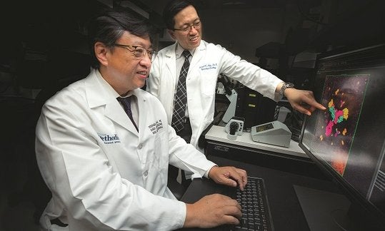 Biomedical engineer Stephen Wong, Ph.D.