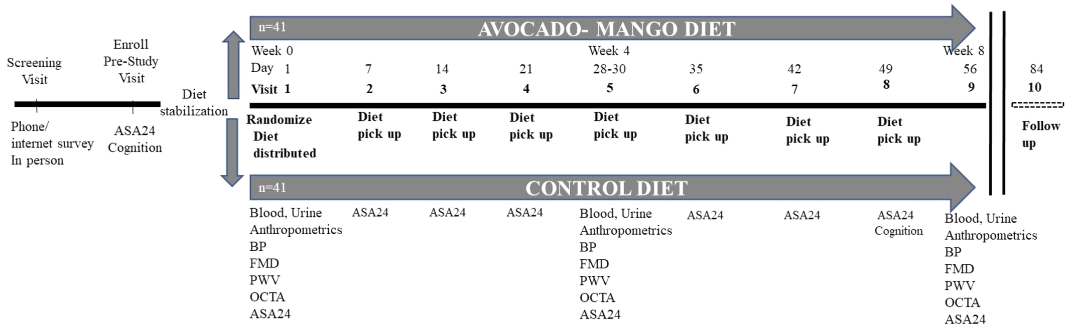 Visual representation of study design and procedures. Cognitive and eye related assessments shown but reported separately. ASA24, Automated Self‐Administered 24‐Hour Dietary Assessment Tool; BP indicates blood pressure; FMD, flow‐mediated dilation; OCTA, ocular coherence tomography angiography; and PWV, pulsewave velocity.