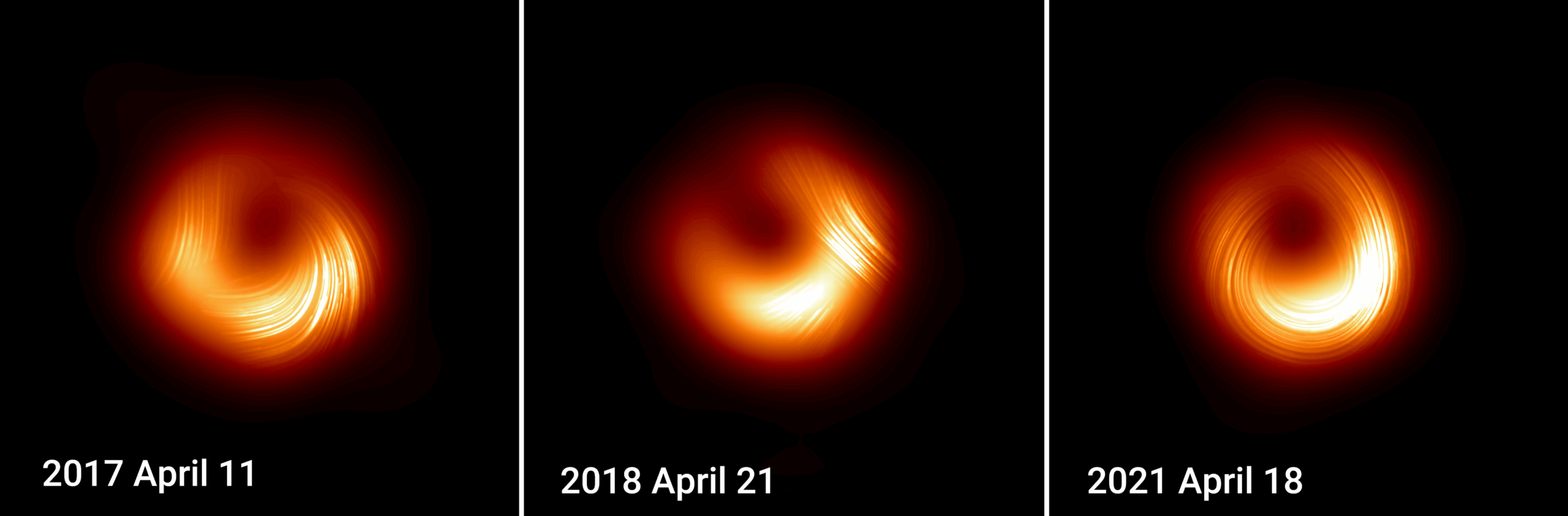 New images from the Event Horizon Telescope (EHT) collaboration have revealed a dynamic environment with changing polarization patterns in the magnetic fields of supermassive black hole M87*. As shown in the images above, while M87*’s magnetic fields appeared to spiral one direction in 2017, they settled in 2018 and reversed direction in 2021. The cumulative effects of this polarization change over time suggests that M87* and its surrounding environment are constantly evolving.