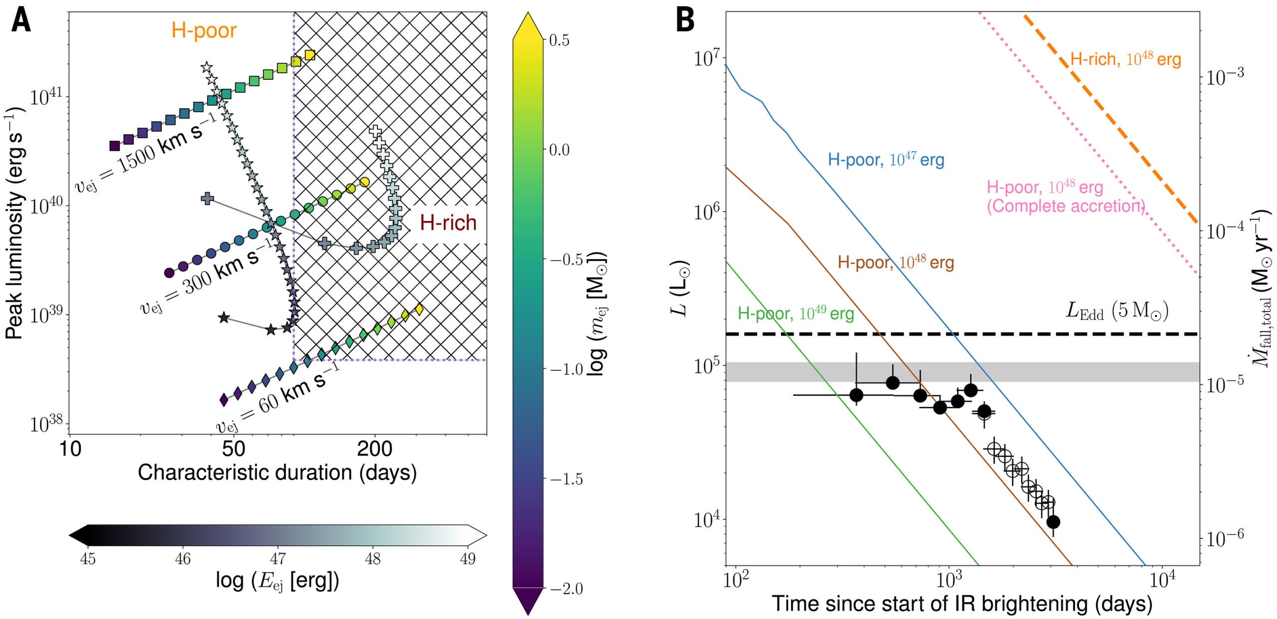 Constraints on the mass ejection and stellar envelope fallback in M31-2014-DS1.