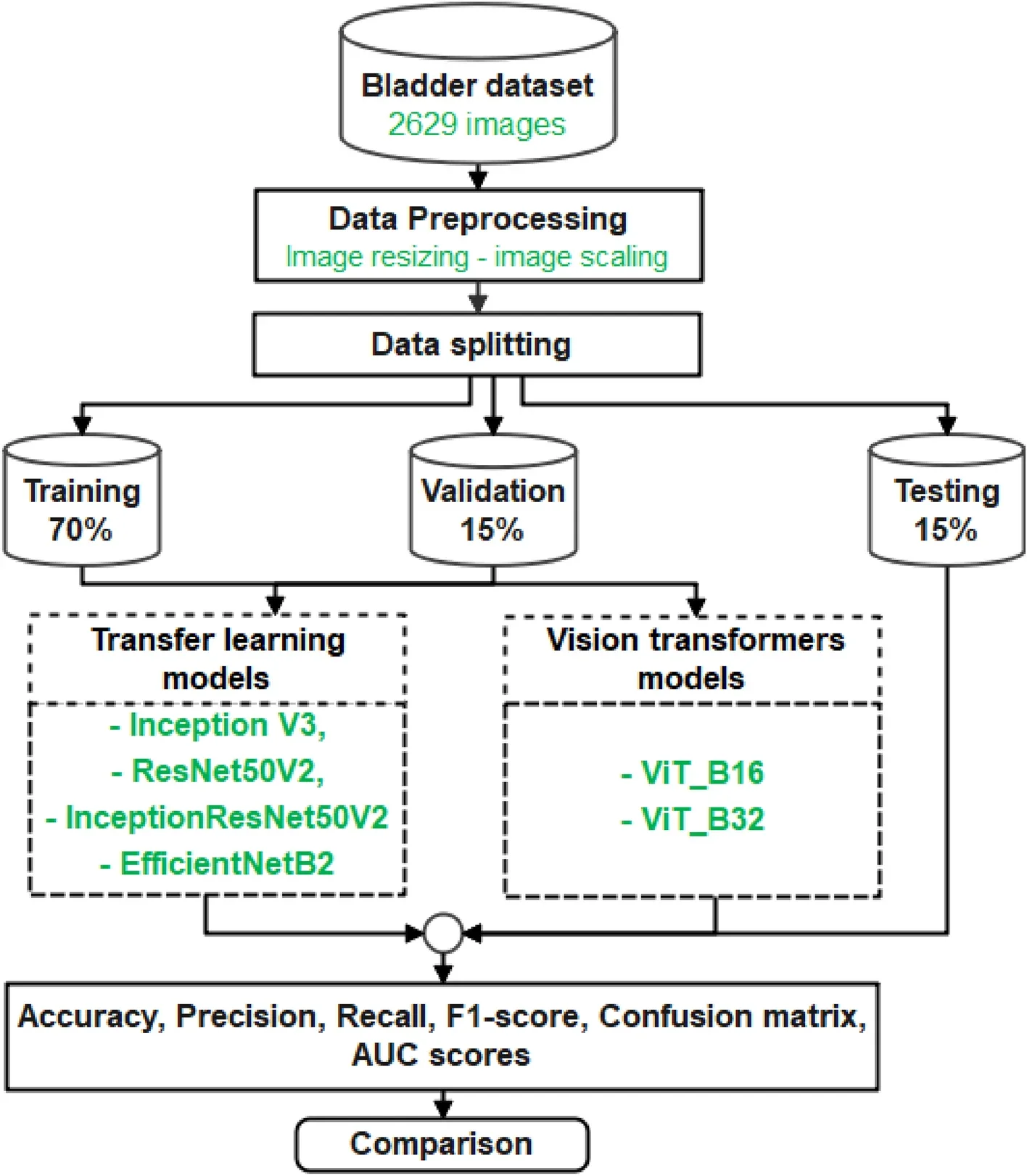 The classification of the bladder cancer based on Vision Transformers.