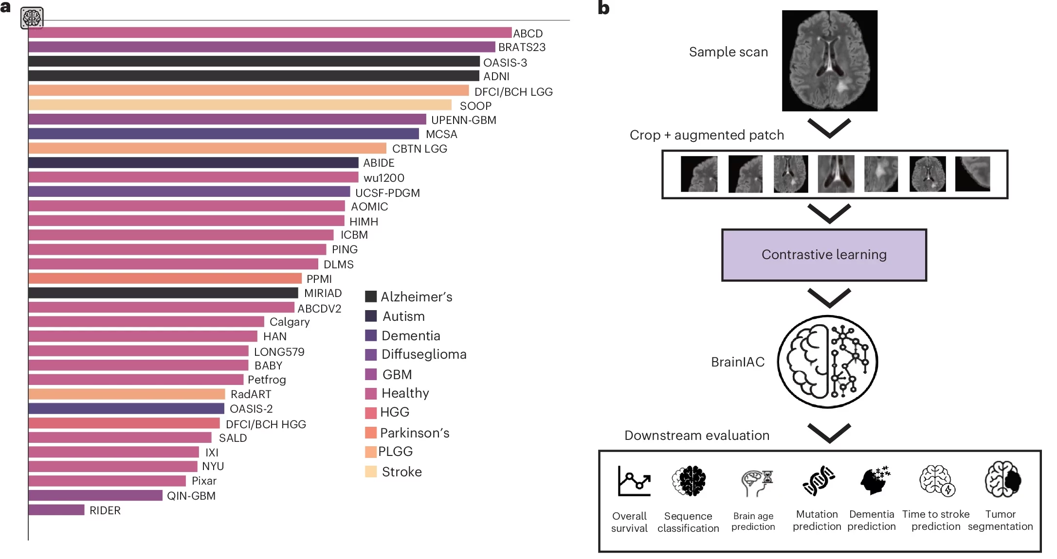 BrainIAC is a general-purpose foundation model for brain MRI analysis, trained using a contrastive SSL approach and validated on seven diverse downstream applications