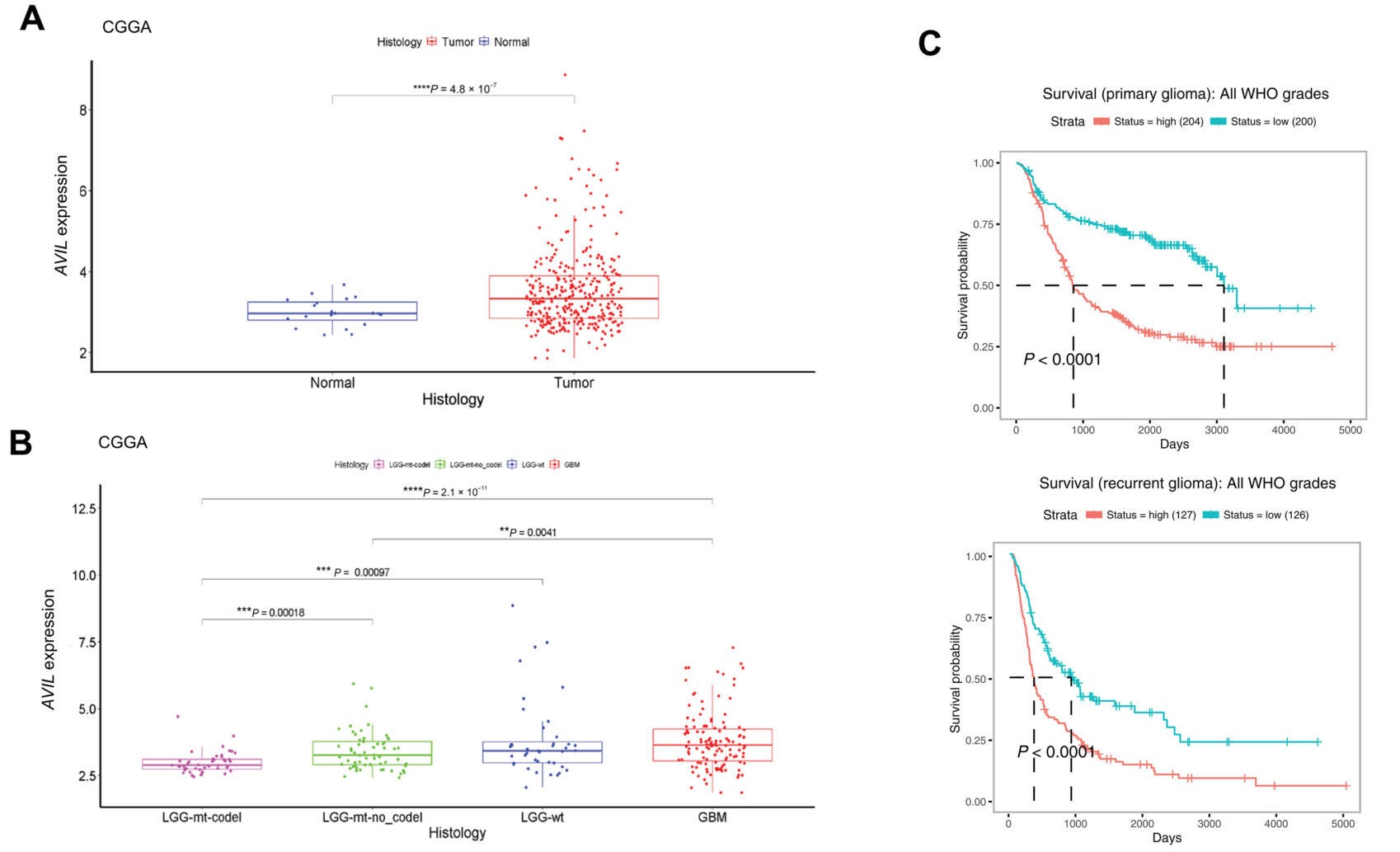 Analysis of AVIL expression using RNA-seq data from CGGA comparing tumor samples (n = 325) with adjacent nonneoplastic margins (n = 20).