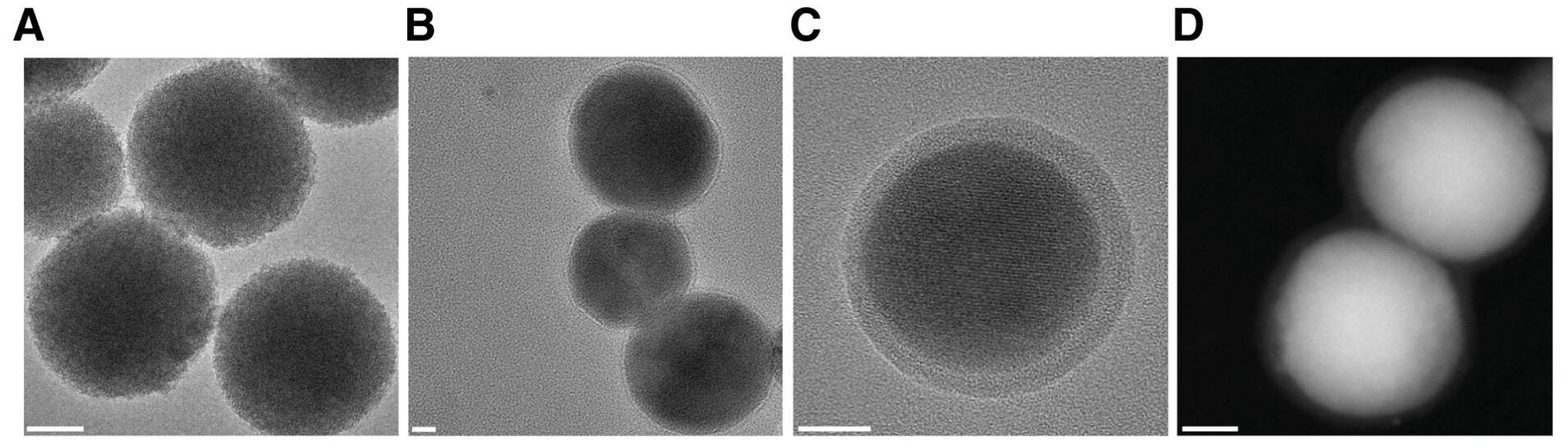 Characterization of the hydroxyapatite nanoparticles