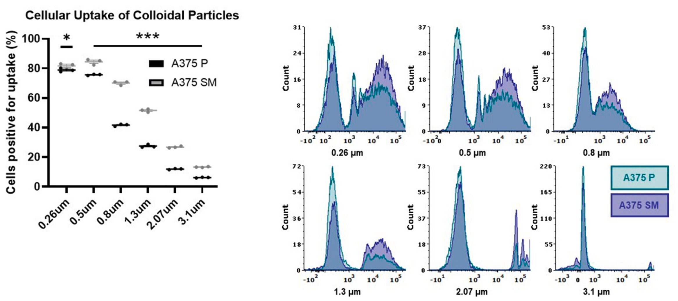 Differential uptake of colloidal particles between A375 P and A375 SM cell lines.