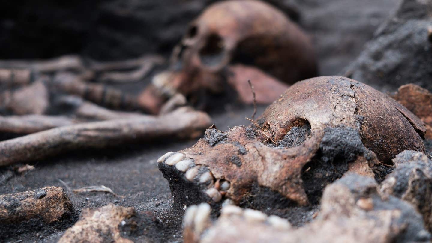 Study of 939 skeletons finds medieval Danes did not exclude leprosy or TB sufferers from high-status graves.