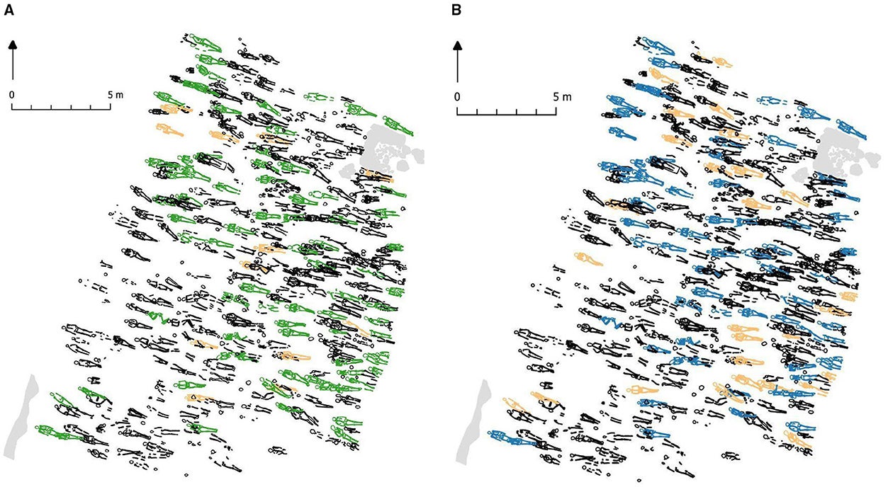 Maps of graves at Sejet. (A) Skeletons unaffected and affected by leprosy (black: not included, green: without pathology, orange: with pathology). (B) Skeletons unaffected and affected by TB (black: not included, blue: without pathology, orange: with pathology).