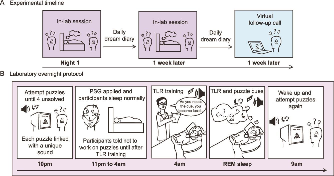 Guided dreams during REM sleep can boost problem solving - The