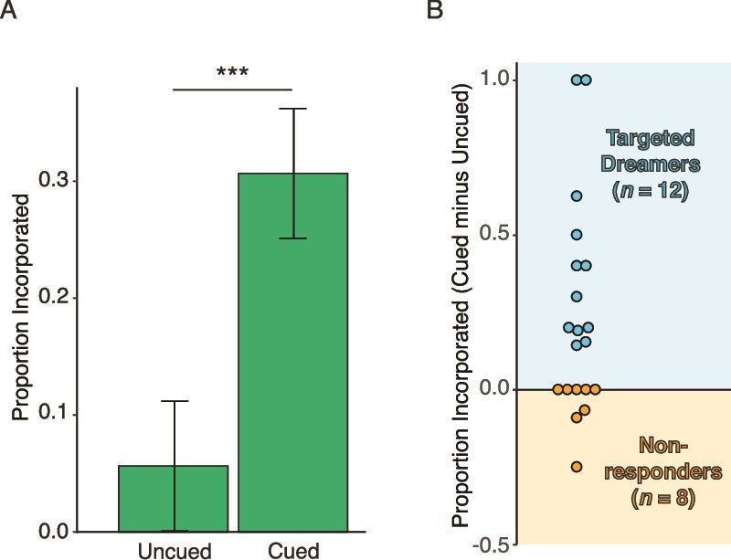 Cues produced puzzle incorporation into dreams. (A) Cued puzzles were incorporated into dreams more often than uncued puzzles. (B) Illustrates the benefit of cueing for dream incorporation per participant (proportion of cued minus uncued puzzles incorporated).
