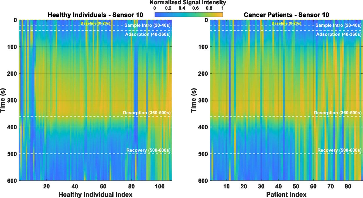 Detailed spatiotemporal response of sensor #10 in the e-nose to VOCs emitted from blood plasma samples, measured across two batches (108 healthy individuals and 88 OC patients).