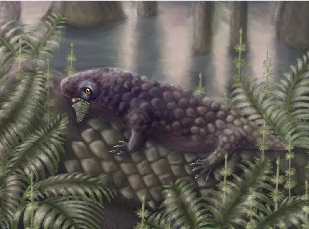 A reconstruction of Tyrannoroter heberti, eating a fern.