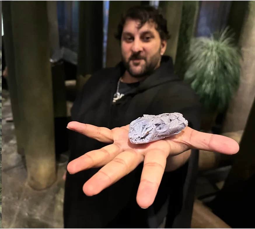 Arjan Mann with a 3D-printed replica of Tyrannoroter’s skull in the Carboniferous coal forest display at Chicago’s Field Museum.
