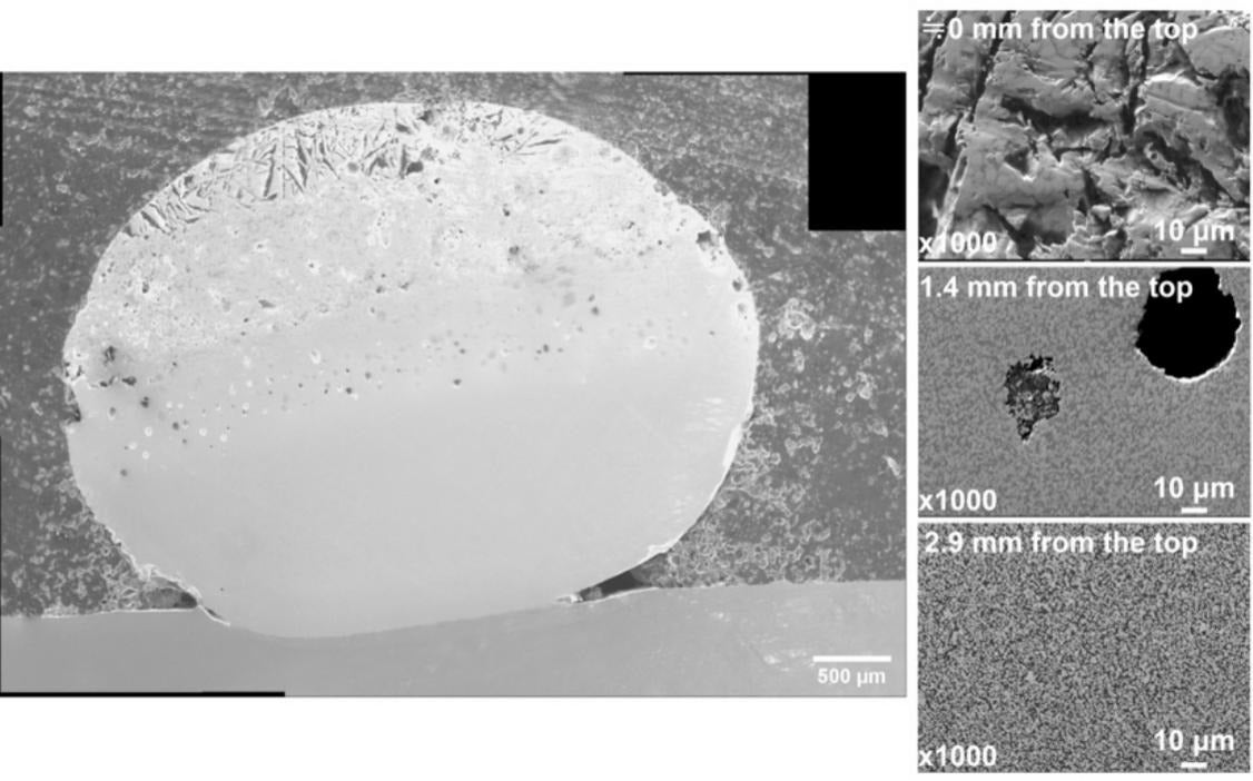 SEM image of cemented carbide molded with the rod‑leading method.