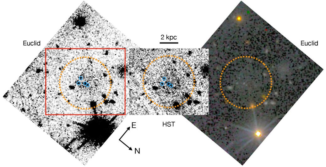 Cutout images of CDG-2 obtained from binning IE-band (VIS imager) data from Euclid (left); stacked and smoothed F814W images from V12-ACS and V14-ACS images from the PIPER HST survey (middle); VIS, Y-band, and H-band combined color image from Euclid (right).