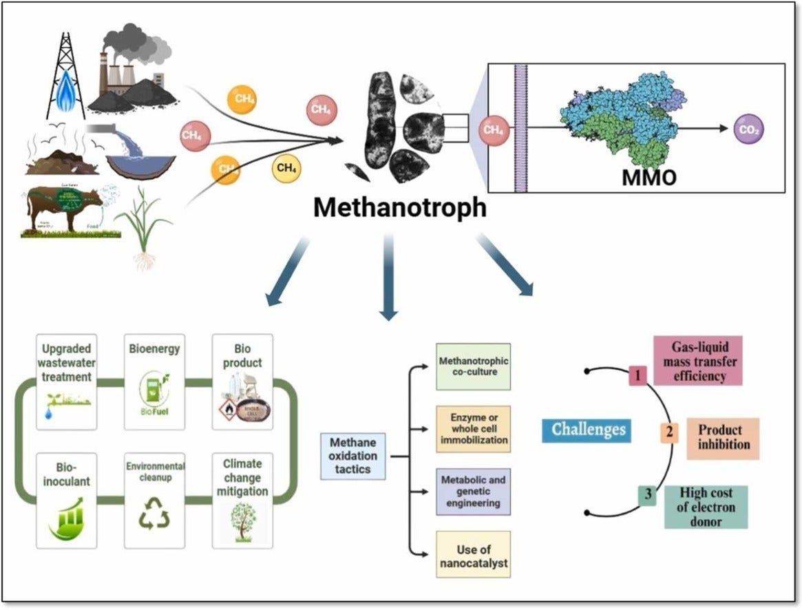 Harnessing renewable energy sources that are both inexpensive and environmentally friendly.