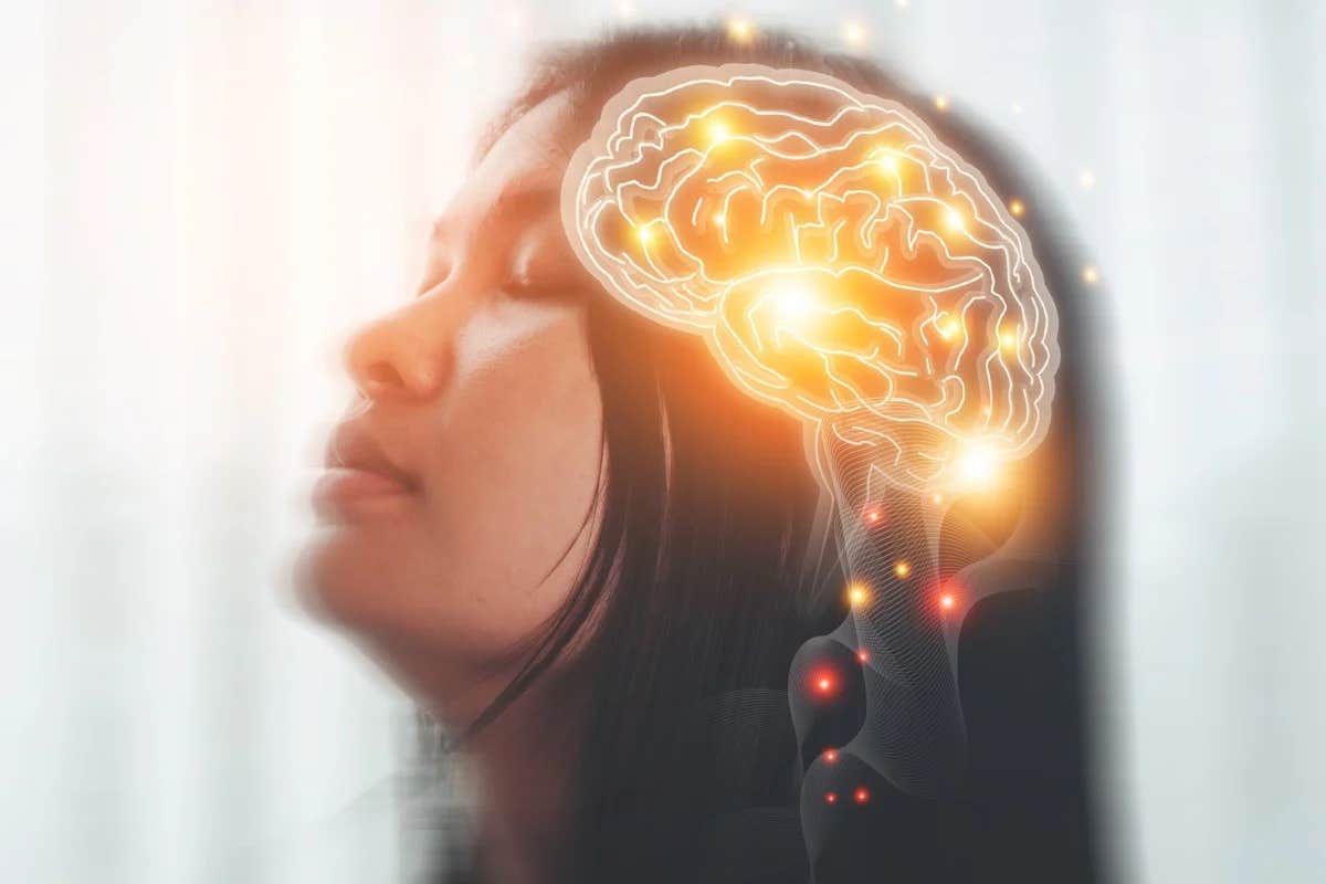 UVA researchers found a compound that blocks AVIL, slowing glioblastoma in mice and reaching brain tissue.