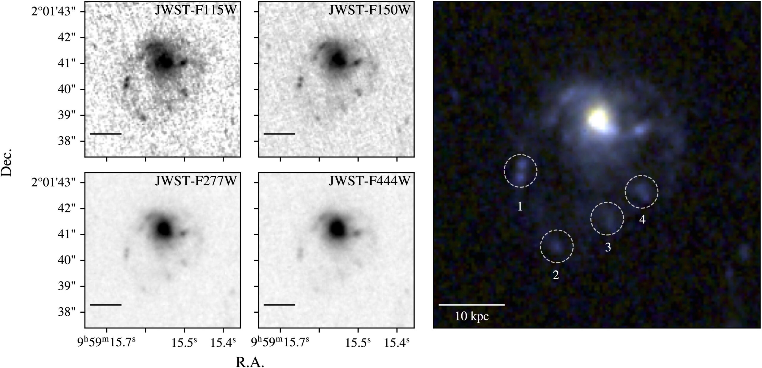 Thumbnail images of COSMOS2020-635829 for the four JWST filters used in this work. The red–green–blue image on the right is a combination of JWST F444W (red channel), F277W (green channel), and F115W + F150W (blue channel). The dashed circles mark the four extraplanar sources that are identified in the tail of COSMOS2020-635829.