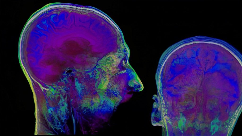 The hidden role of language in consciousness - The Brighter Side