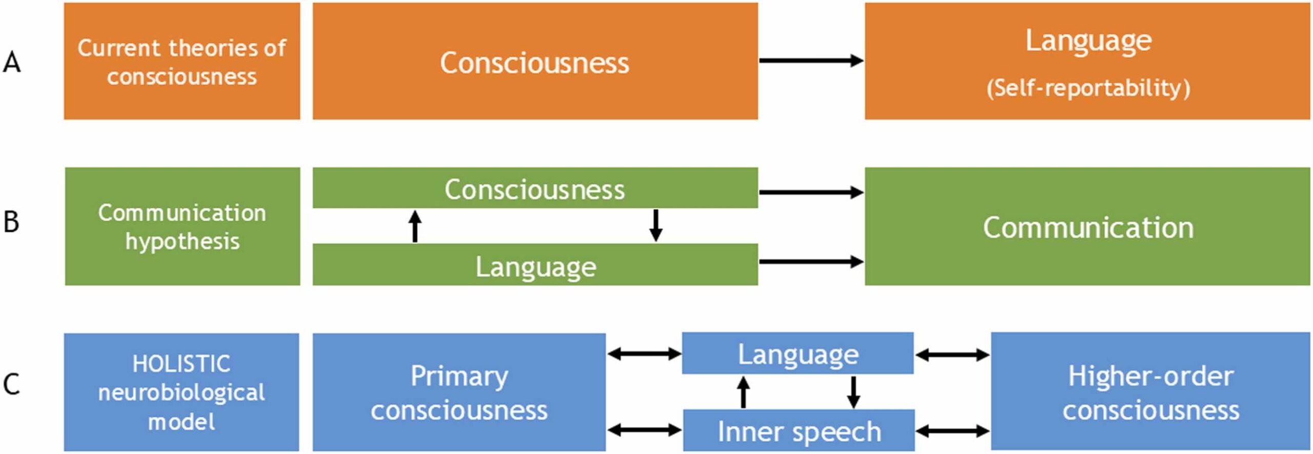Functional interactions between language, consciousness and communication.
