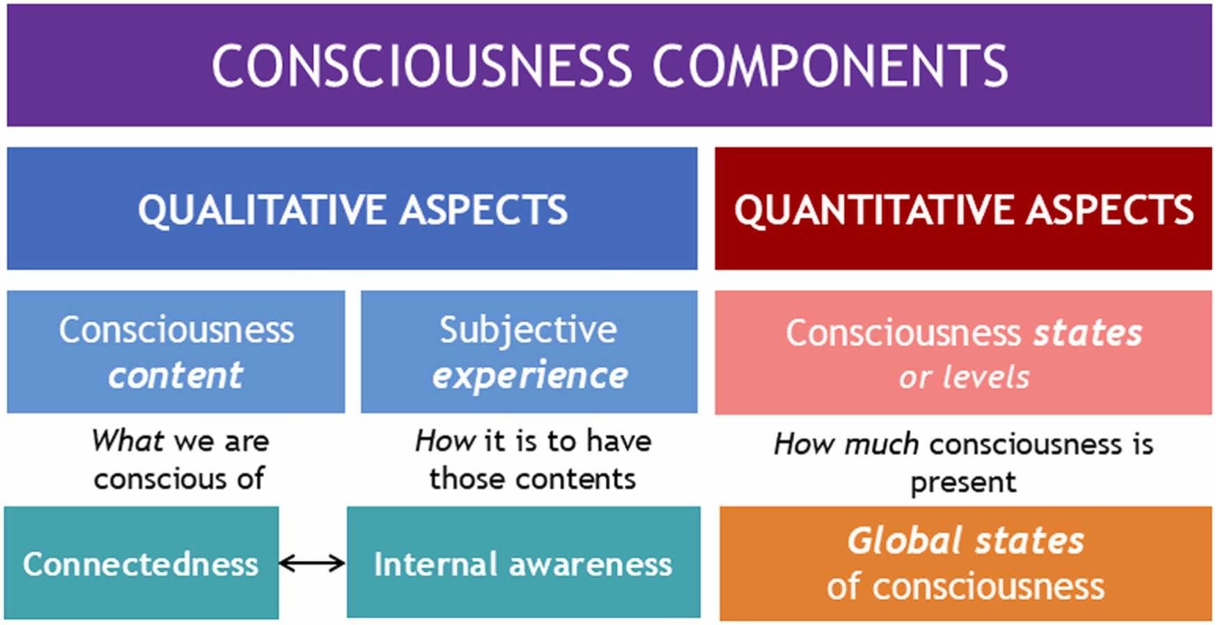 Consciousness components based on qualitative and quantitative aspects. Consciousness is commonly described as a bidimensional phenomenon, encompassing both its content and states