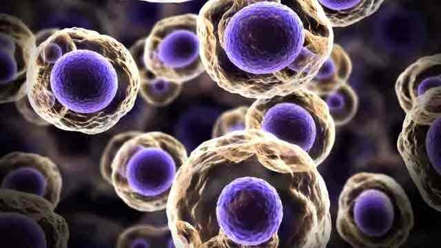 Researchers uncover gene clues that reveal how life evolved before Earth’s first universal ancestor.