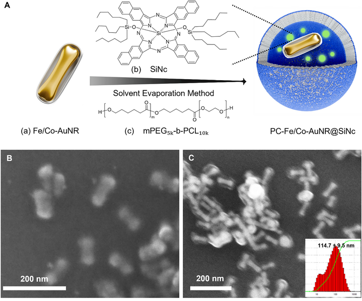 Preparation and characterization of PEG–PCL nanostructures co‐loaded with Fe/Co‐AuNRs and the NIR dye SiNc (PC‐Fe/Co‐AuNRs@SiNc).