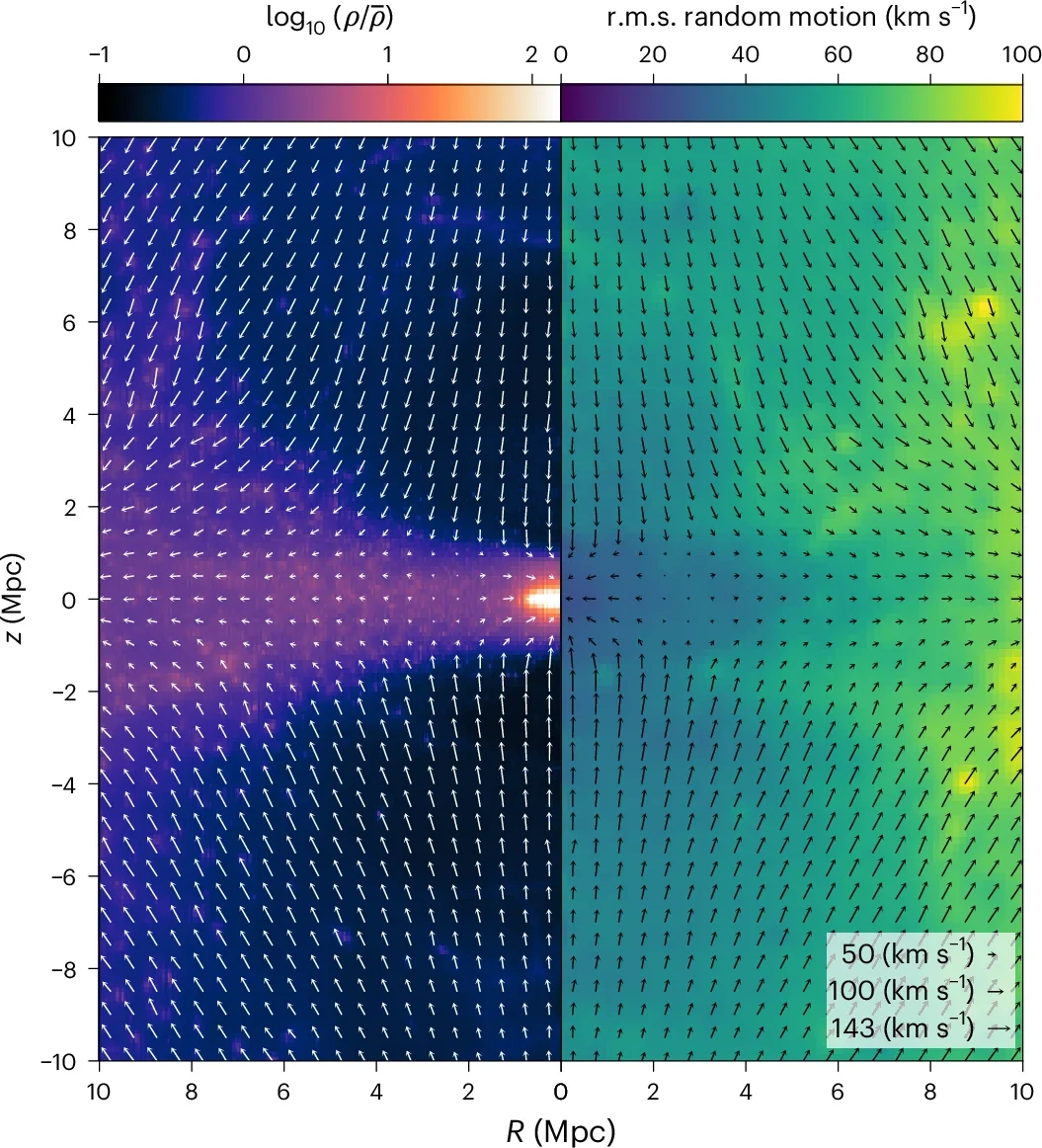 The peculiar velocity field in cylindrical coordinates. Each arrow shows the mean velocity in a ΔR = Δz = 0.5 Mpc bin. 